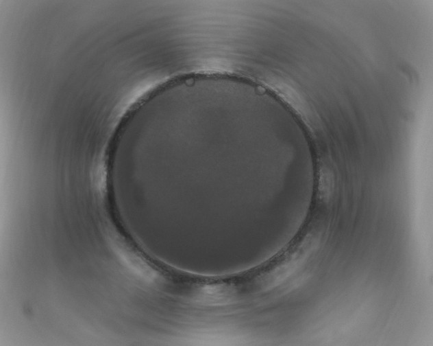 X0000111020584200907022200