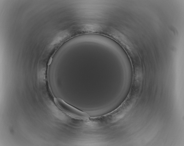 X0000111020585200907022200