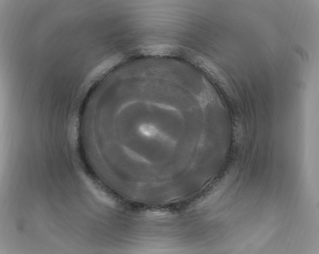X0000111020586200907022200