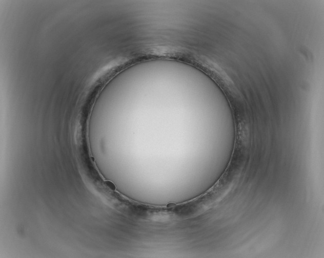 X0000111020587200907022200