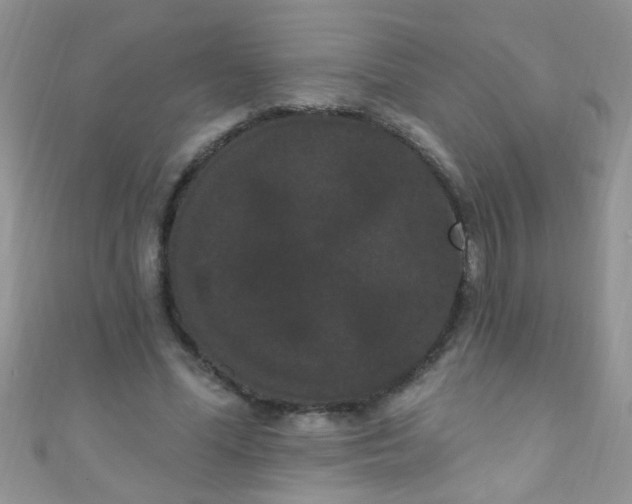 X0000111020588200907022200
