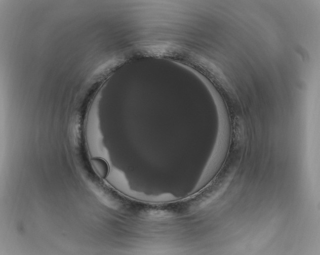 X0000111020590200907022200
