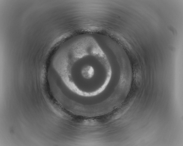 X0000111020591200907022200