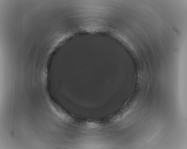 X0000111020592200907022200