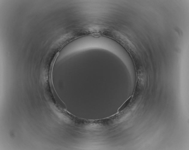 X0000111020593200907022200