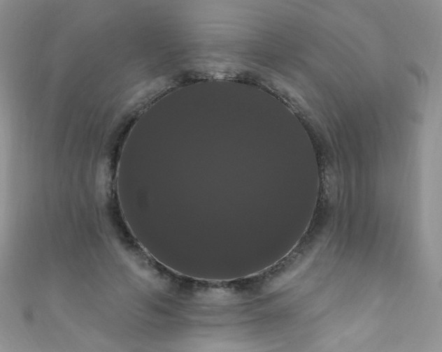 X0000111020594200907022200