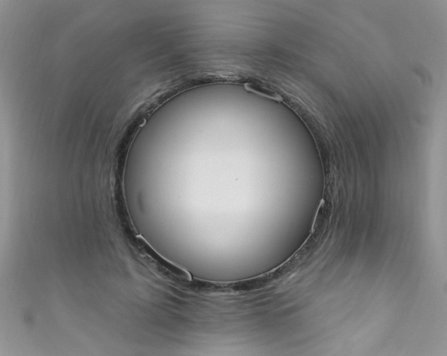 X0000111020595200907022200