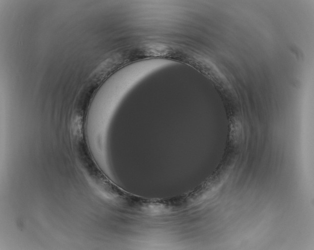 X0000111020598200907022200