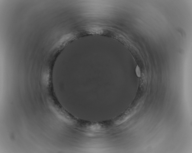 X0000111020600200907022200