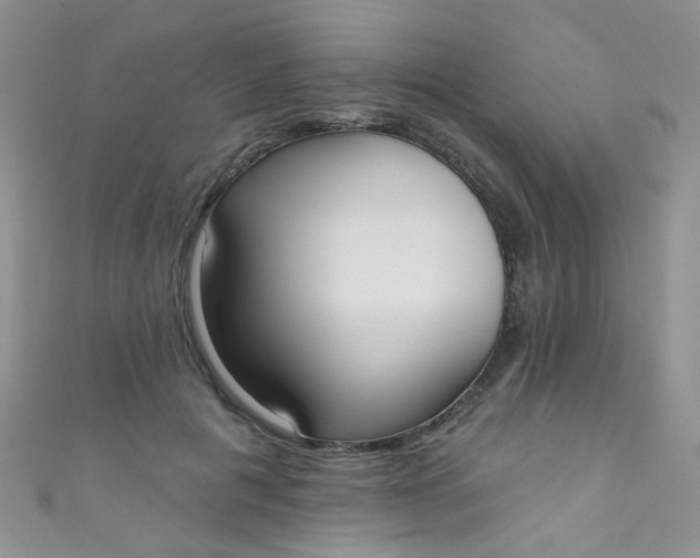 X0000111020601200907022200