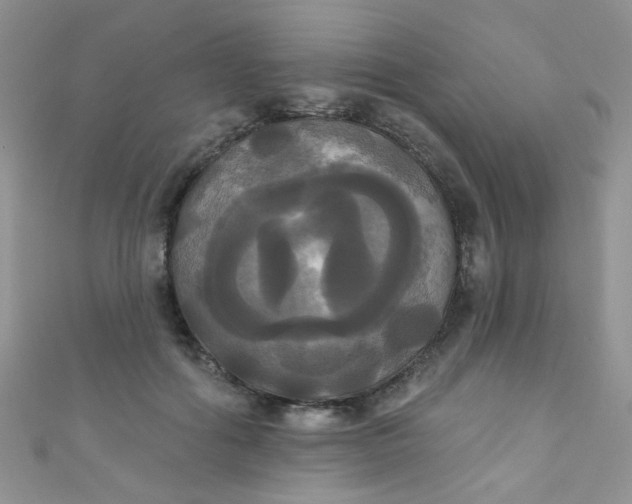 X0000111020602200907022200