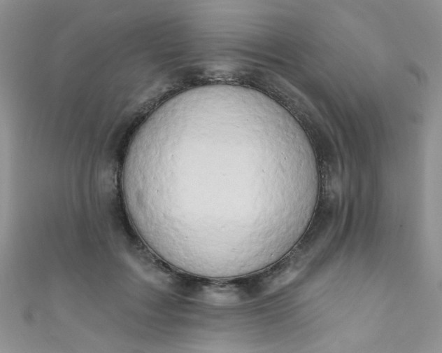 X0000111020603200907022200