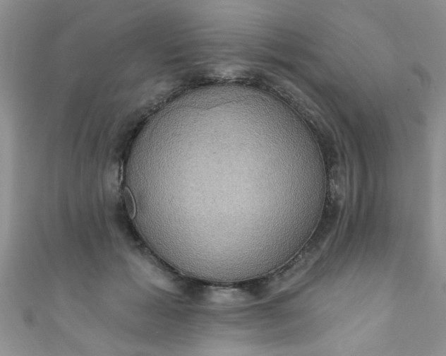 X0000111020605200907022200
