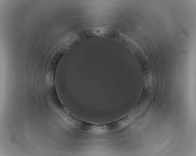 X0000111020606200907022200