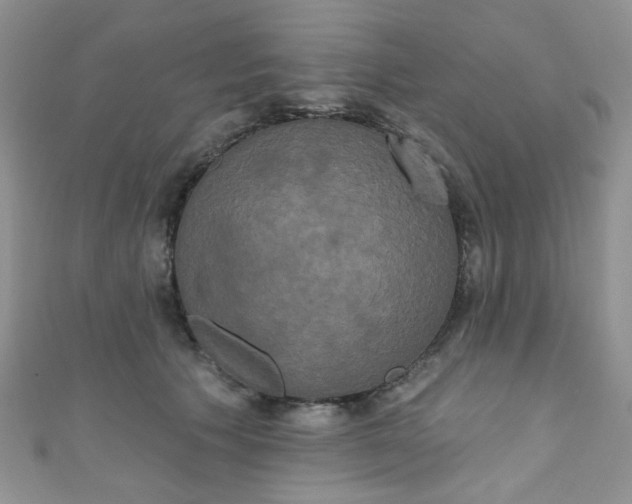 X0000111020609200907022200