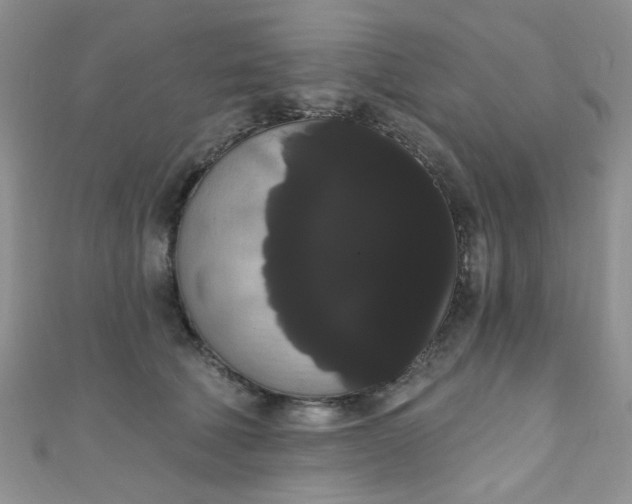X0000111020610200907022200