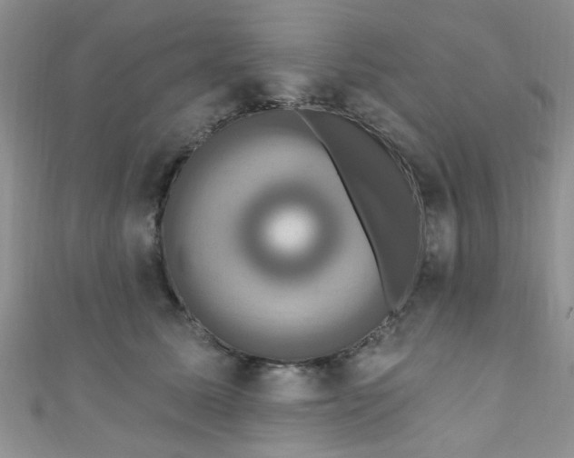 X0000111020611200907022200