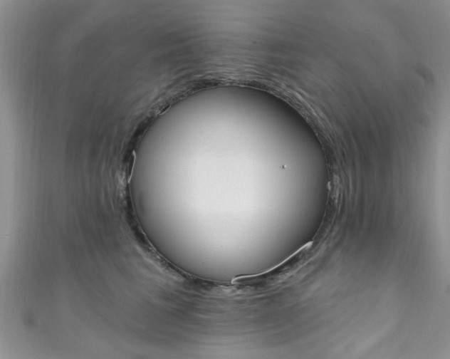 X0000111020613200907022200