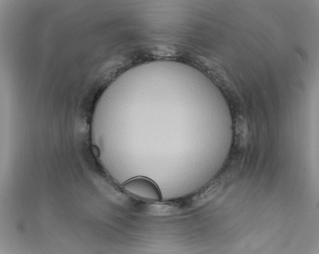 X0000111020614200907022200