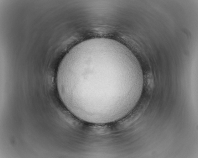 X0000111020615200907022200