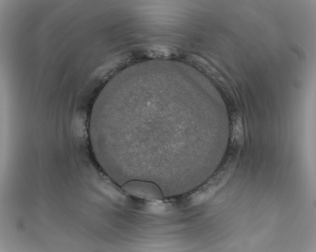 X0000111020616200907022200
