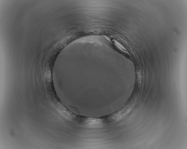 X0000111020617200907022200