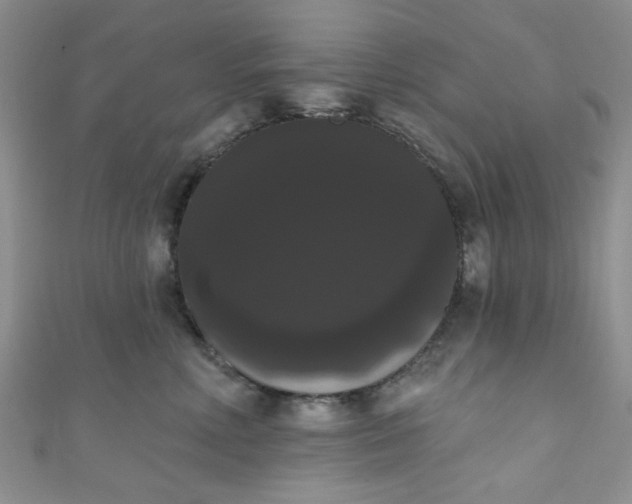 X0000111020618200907022200