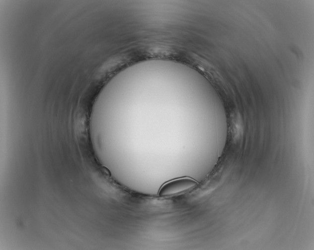 X0000111020619200907022200