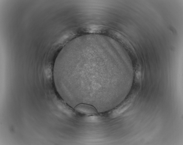 X0000111020620200907022200