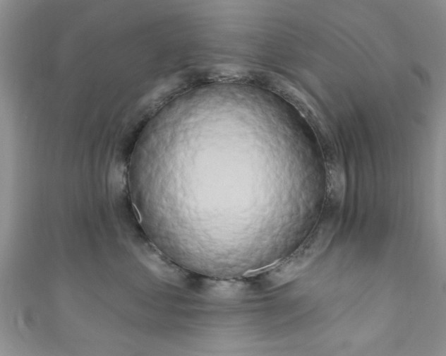 X0000111020621200907022200