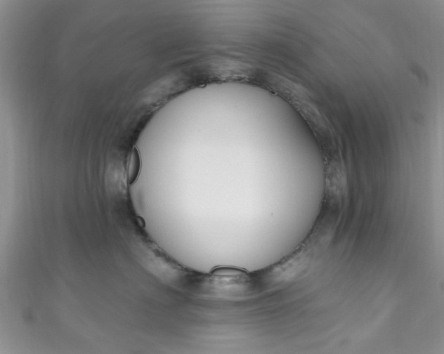 X0000111020622200907022200