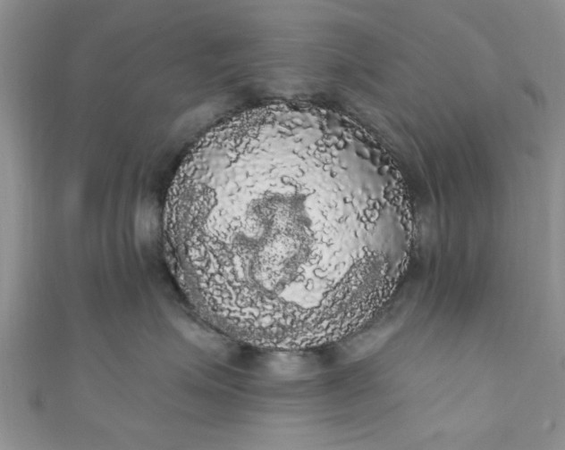 X0000111020623200907022200