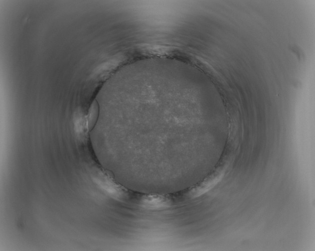 X0000111020624200907022200