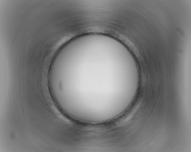X0000111020625200907022159