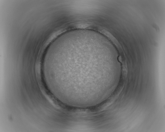 X0000111020626200907022159