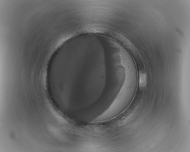 X0000111020627200907022159
