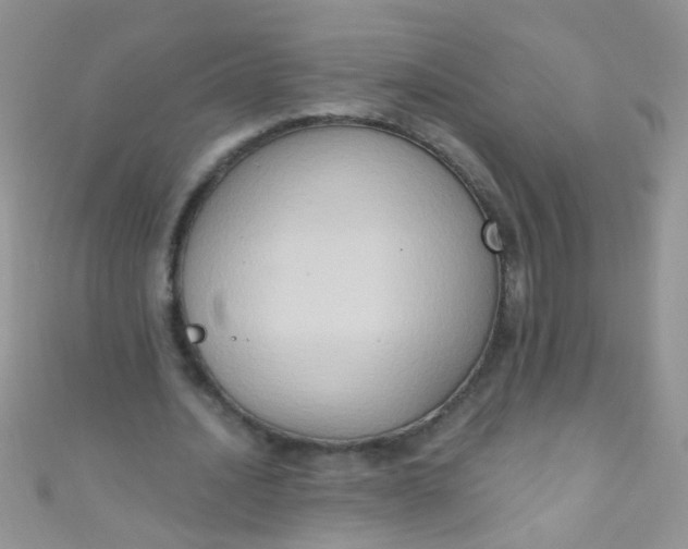 X0000111020628200907022159