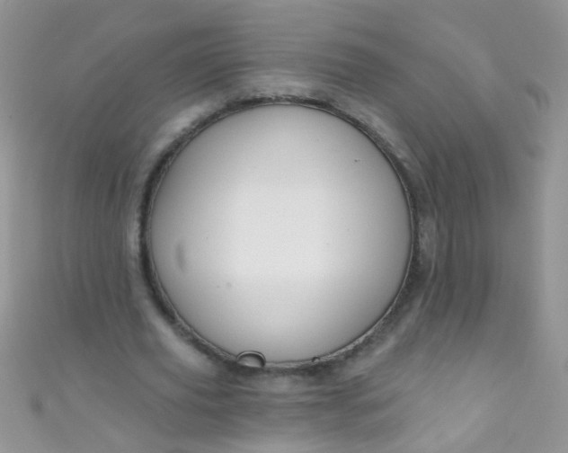 X0000111020629200907022159