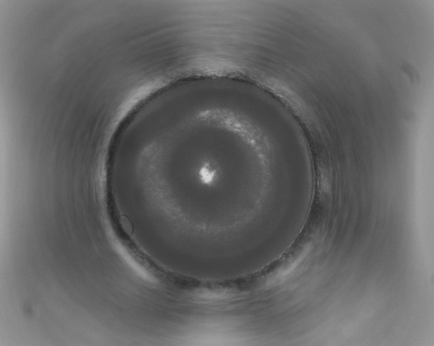 X0000111020630200907022159