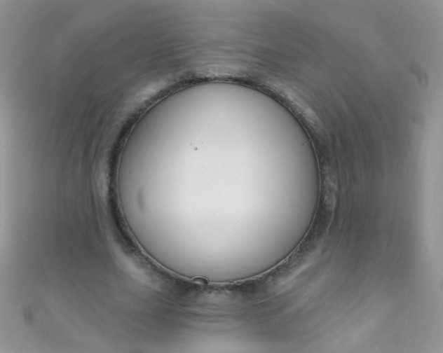 X0000111020631200907022159