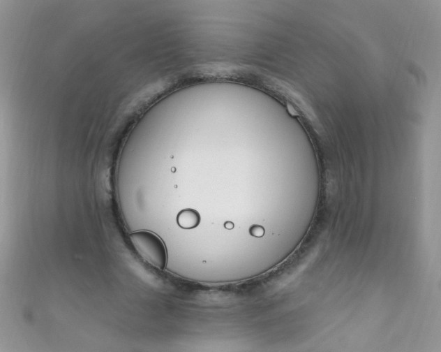 X0000111020633200907022159