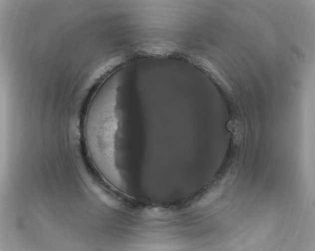 X0000111020634200907022159