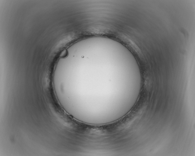 X0000111020635200907022159