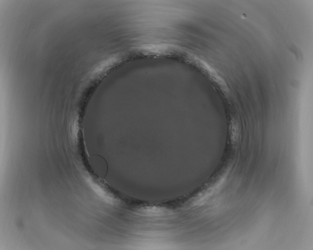 X0000111020637200907022159