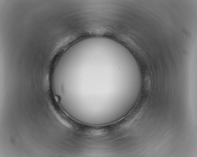 X0000111020638200907022159
