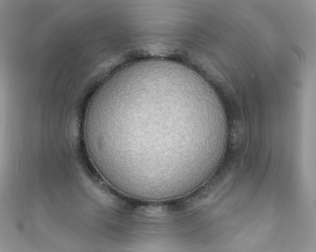 X0000111020639200907022159
