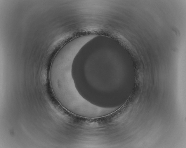 X0000111020640200907022159