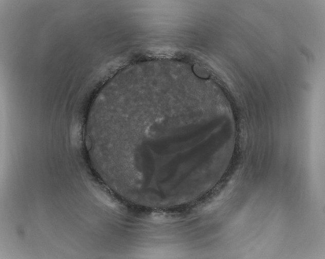 X0000111020641200907022159
