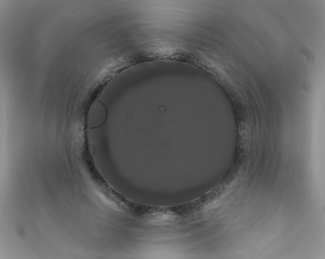 X0000111020642200907022159
