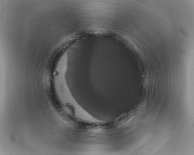X0000111020643200907022159